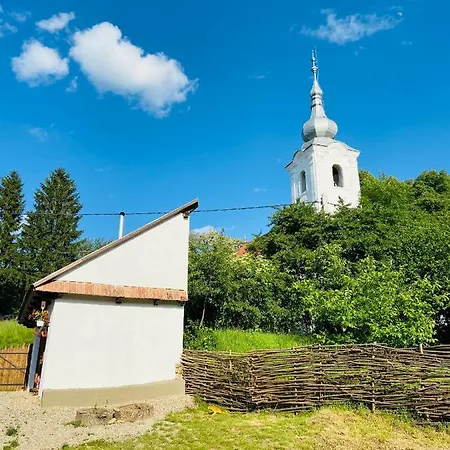 Slow Living Cottage, Holiday home Dobolii de Sus
