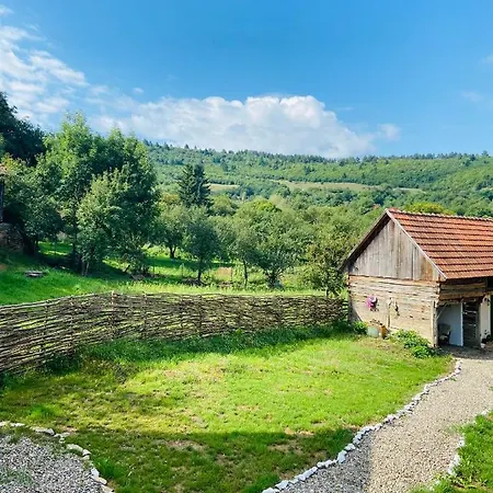 Slow Living Cottage, Holiday home Dobolii de Sus